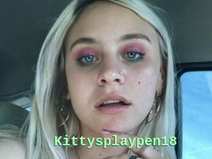 Kittysplaypen18