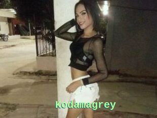 Kodamagrey