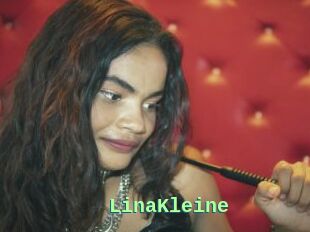 LinaKleine
