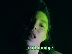 Leilabodge