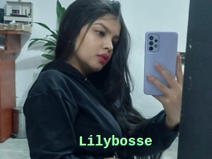 Lilybosse