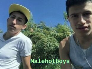Malehotboys