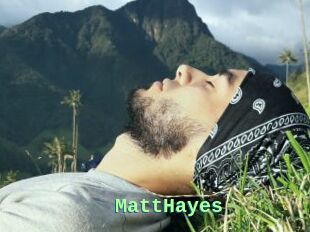 MattHayes