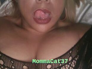 MommaCat37