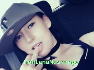 MontanaMustange