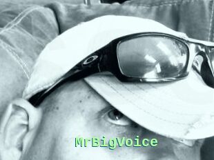 MrBigVoice