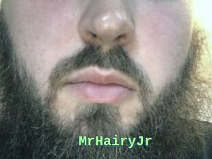 MrHairyJr