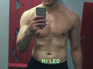 MrLEO