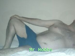 Mr_Hobbs