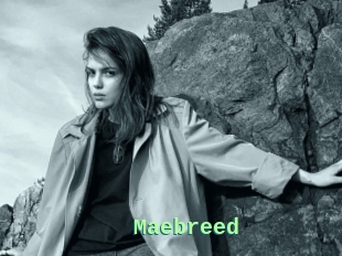 Maebreed