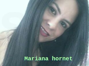 Mariana_hornet