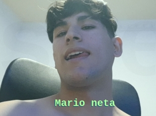 Mario_neta