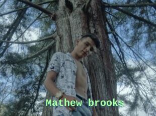 Mathew_brooks