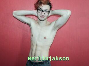 Merlinjakson