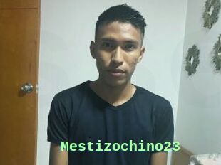 Mestizochino23