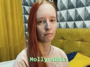 Mollyrabbit