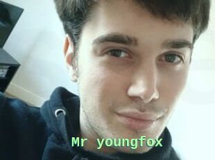 Mr_youngfox