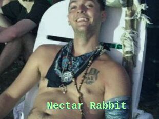 Nectar_Rabbit