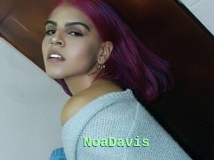 NoaDavis