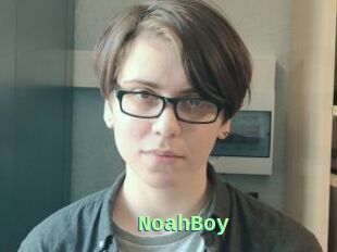 NoahBoy