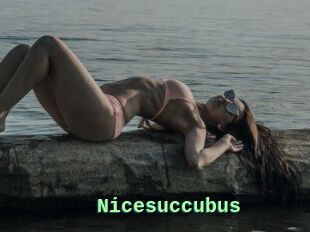 Nicesuccubus