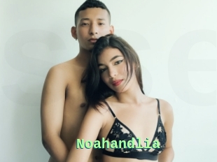 Noahandlia