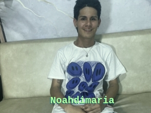 noahdimaria S Sexe