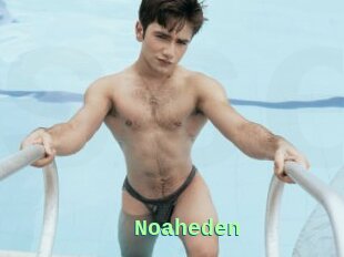 Noaheden