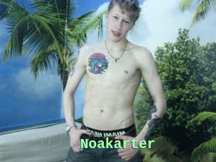 Noakarter