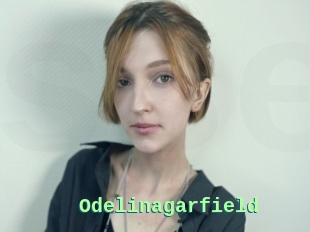 Odelinagarfield