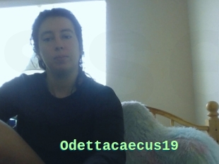 Odettacaecus19