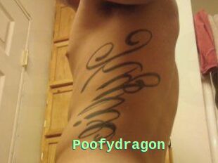 Poofydragon
