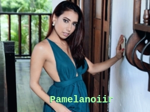 Pamelanoiir