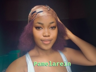 Pamelarein