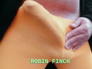 ROBIN_FINCH