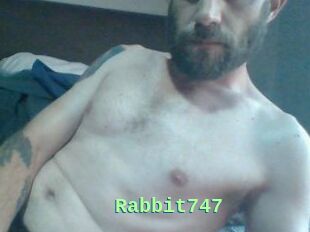 Rabbit747