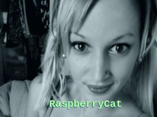 RaspberryCat