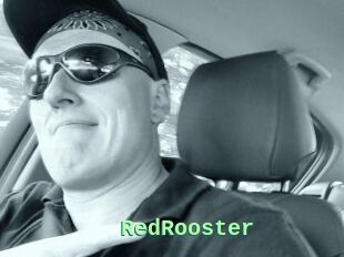 RedRooster