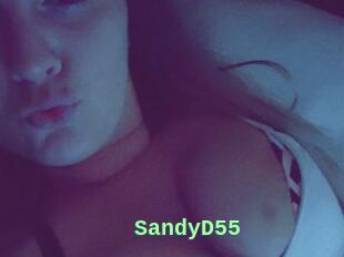 SandyD55