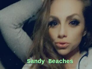 Sandy_Beaches