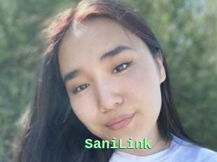 SaniLink