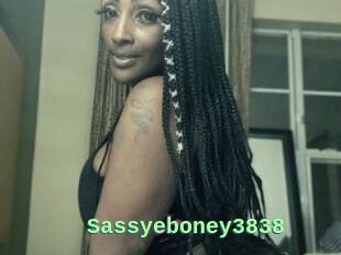 Sassyeboney3838