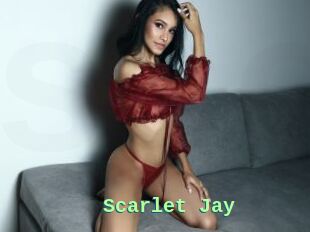 Scarlet_Jay