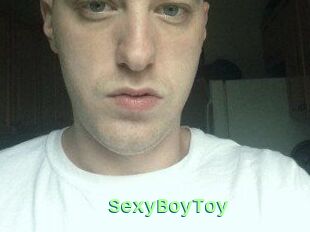 SexyBoyToy