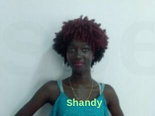 Shandy