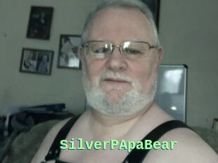 SilverPApaBear