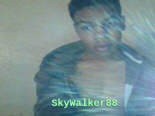 SkyWalker88