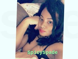 SpicySpade