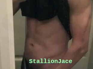 StallionJace