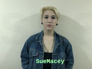 SueMacey